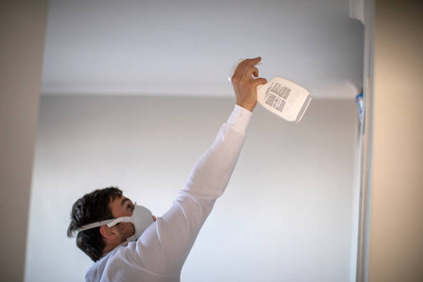 Reliable Webster, TX Mold Remediation Solutions